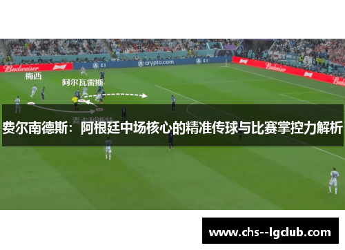 费尔南德斯：阿根廷中场核心的精准传球与比赛掌控力解析